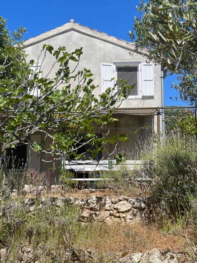 Robinson House Leticia Villa Cunski Exterior photo